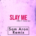 Slay Me (feat. Vanesa Sono)(Sam Aron Remix)