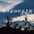 哈哈泷 - 我不是你的宋冬野