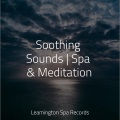 Deep Sleep Relaxation、Rainforest、Mindfulness Meditation World - Music for Stress Relief