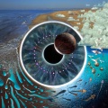 Pink Floyd - One Of These Days