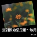 敏儿好学 - 爱到深处全是泪