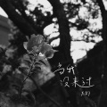 当我没来过