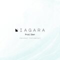 Slwn - Niagara