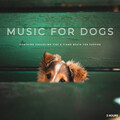 Music for Calming Dogs、Relaxing Piano Music Classic、Piano Dust Covers - Music For Dogs: Soothing Crackling Fire & Piano Beats For Puppies - 2 Hours