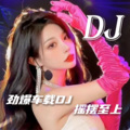 柚子Chen呀 - 满天星辰不及你 (DJR7版)