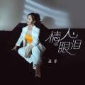 赵洋 - 情人眼泪