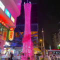 张洪圣 - 触碰