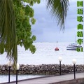曹淑英 - 以为你在等像我这样的人