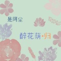 醉花荫·归