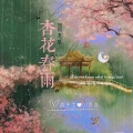 杏花春雨 (DJ何友版)