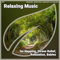 ! #0001 Relaxing Music for Napping, Stress Relief, Relaxation, Babies
