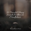 Academia de Música para Massagem Relaxamento、Schlaflieder Für Kinder、Massagem Coleção de Músicas - Sunny Day