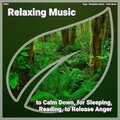 Relaxation Music、Calm Music、Yoga - Relaxing Music, Pt. 51