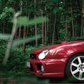 Strawberry Subaru