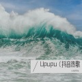 张同学呀 - Upupu (Live)