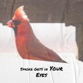 The Cascades - A Little Like Lovin'