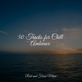 Música Zen Relaxante、Meditation Zen、White Noise Sleep Sounds - Clear Wandering
