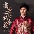 阿来(来国庆) - 高原上的格桑花