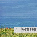 CNLY - 后会有期