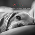 Pets: The Best Rain Music To Leave Your Pet Relaxed At Home