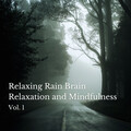 Rain Sounds & Nature Sounds、Relaxing Radiance、Soothing Nature Sound - Relaxing Rain Brain Relaxation and Mindfulness Vol. 1 - 1 Hour
