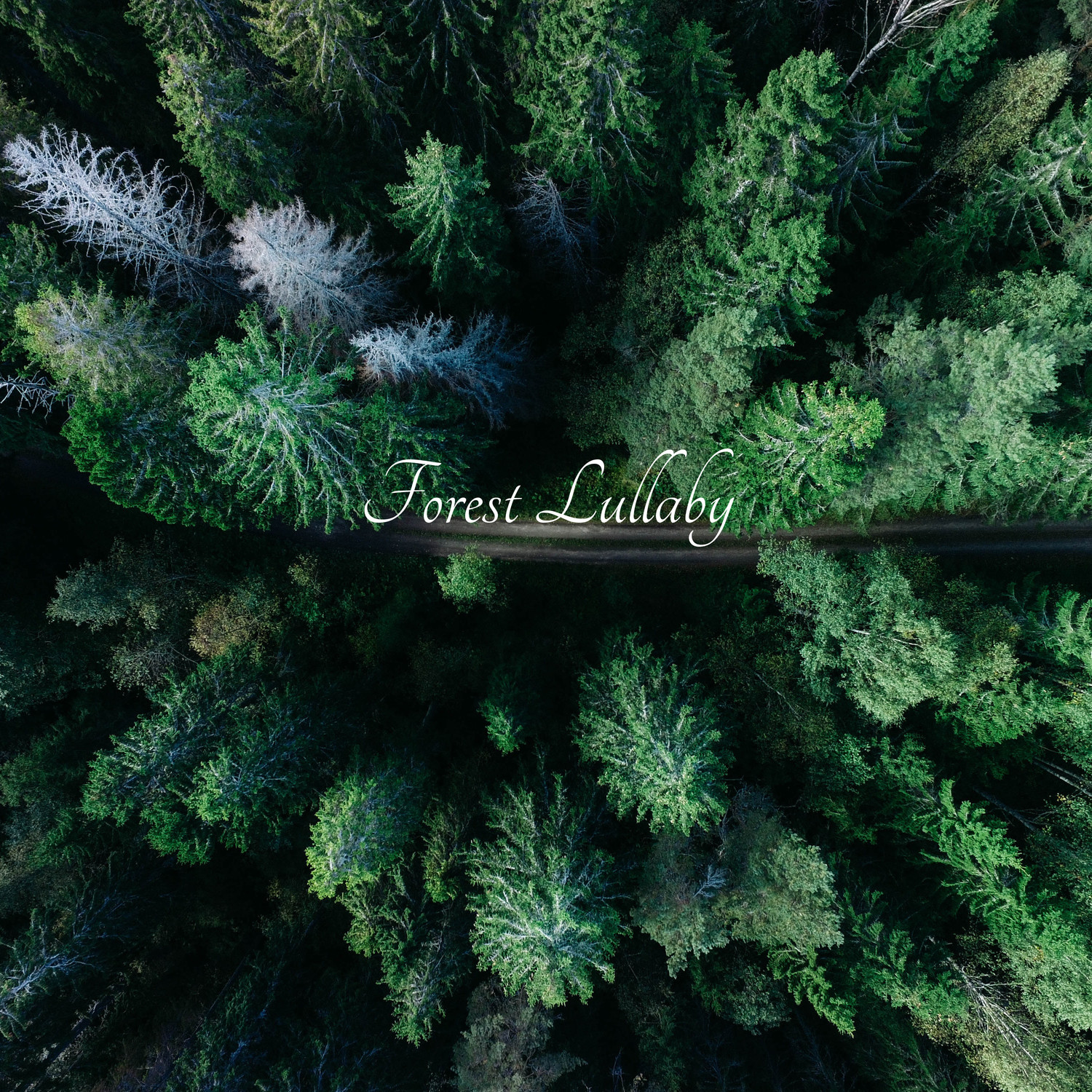 Forest Lullaby、Relaxation Zone - Lying on Pillows and Dreaming