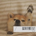 苏小鱼 - 舔狗觉醒日记