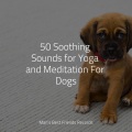 50 Soothing Sounds for Yoga and Meditation For Dogs