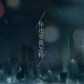 小碗仔儿 - 你还要我怎样 (cover∶薛之谦)