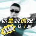 你是我的妞 (DJ Candy版)