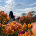 代正吉 - 落花
