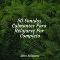 50 Sonidos Calmantes Para Relajarse Por Completo