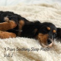 Dog Sleep Dreams、Music for Calming Dogs、Cats Music Zone - No More Pet Anxiety