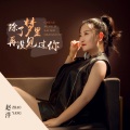 赵洋 - 除了梦里再没见过你