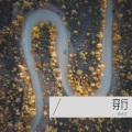 李大文 - 下水道里的诗意