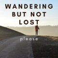 Wandering But Not Lost
