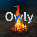 Matthy、str - Owly