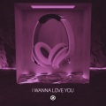 8D Tunes、J R、Merdy、PACANI、Aliaune Thiam、Calvin Broadus - I Wanna Love You