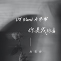 你是我的毒 (DJEland小弟 remix版)(Remix)