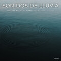Música Relajante para Perros、Musicas de Piano Masters、Musica Clasica para Bebes Orchestra - Sonidos De Lluvia: Hermosa Música De Piano En Una Tarde Lluviosa - 1 Hora