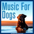 Dog Music、Relaxmydog、Dog Music Therapy - Home Sweet Home