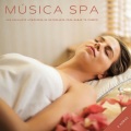 Música Spa: Una Relajante Atmósfera De Naturaleza Para Sanar Tu Cuerpo - 2 Horas