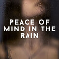 Weather and Nature Recordings、One Hour Spa Music、Book Shop Music - Drowsy Strong Breeze