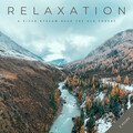 Baby Shushing、Relaxation Music Guru、Soothing Air - Relaxation: A River Stream Near The Old Forest - 2 Hours