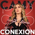 Conexión