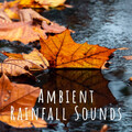 Baltic Nature Sounds、Spa Relaxation & Spa、Deep Massage Tribe - Drip Drip Drizzle