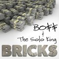 Bricks (feat. Bo$$) [Explicit]