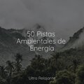 50 Pistas Ambientales de Energía