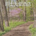 安静的正在学习大气层