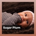 Sugar Plum